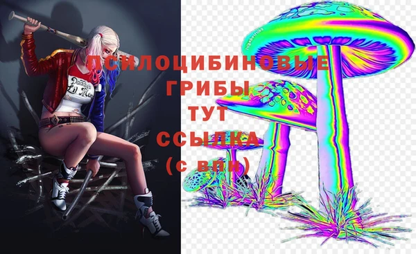 СК Алзамай
